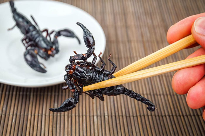 atypical vietnamese dishes insects